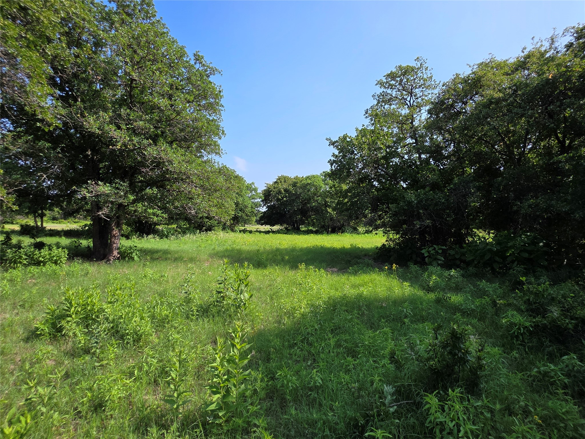 375 Ea Road Comanche TX 76442