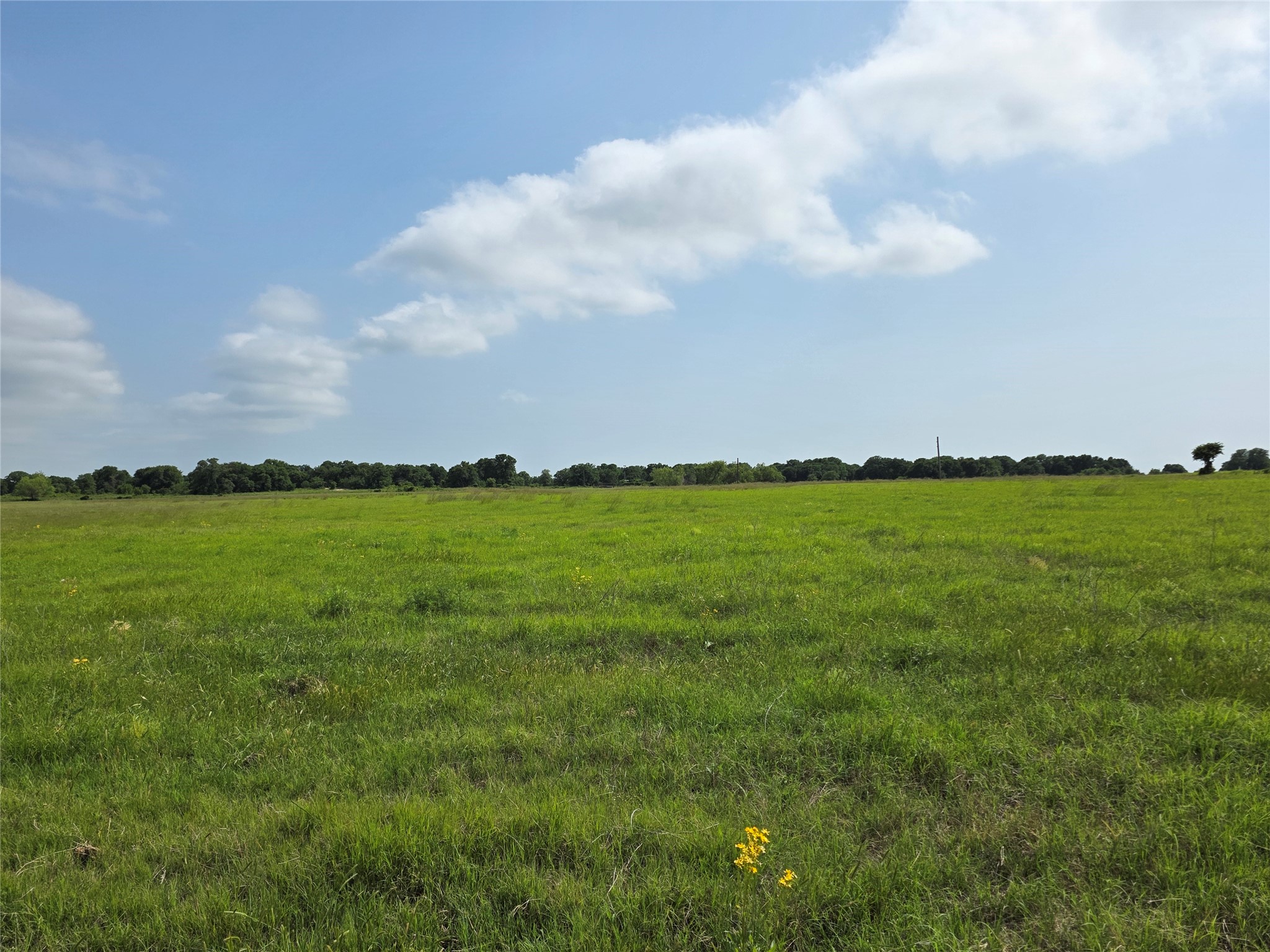 375 Ea Road Comanche TX 76442