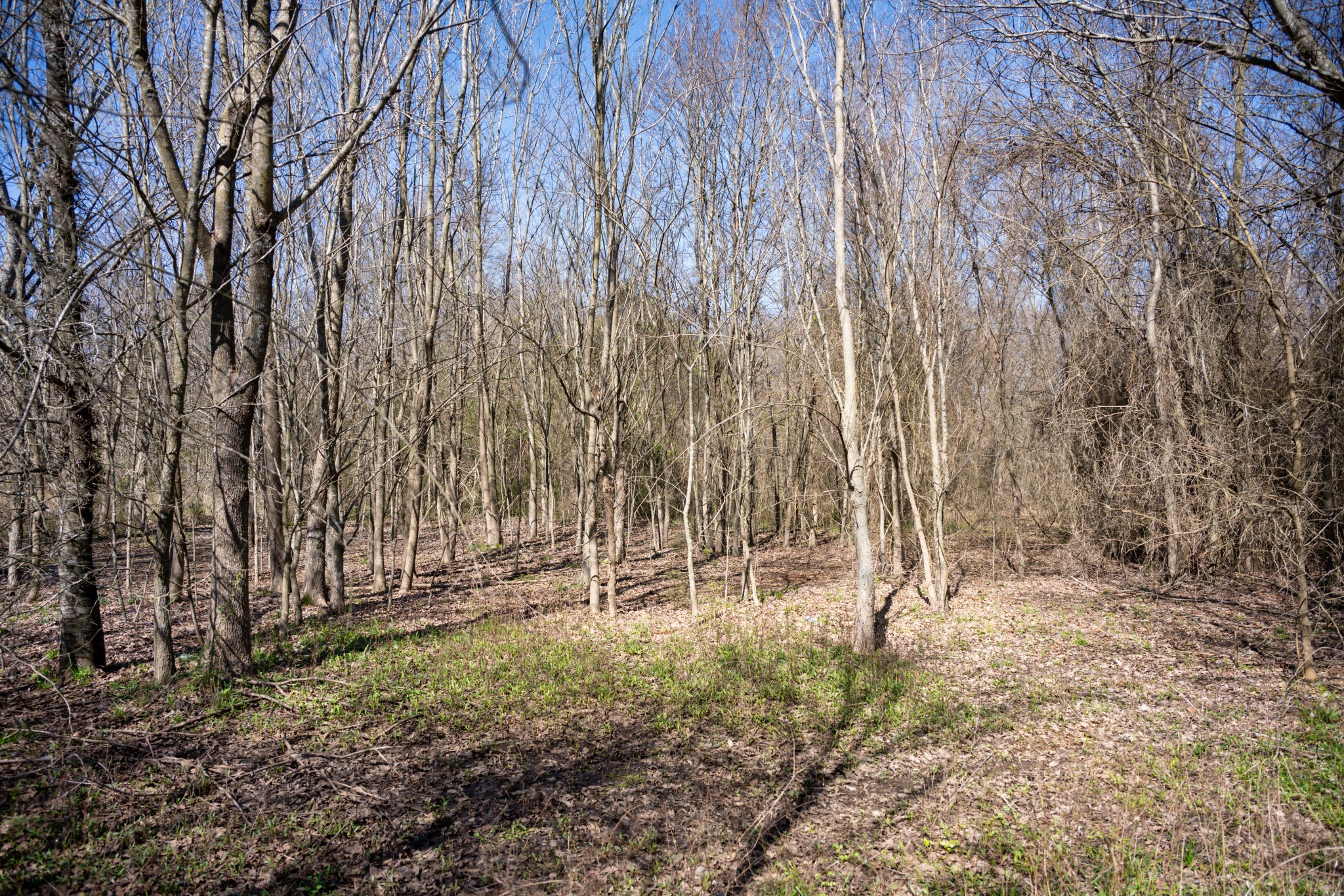 800 County Road 2390 Pickton TX 75471