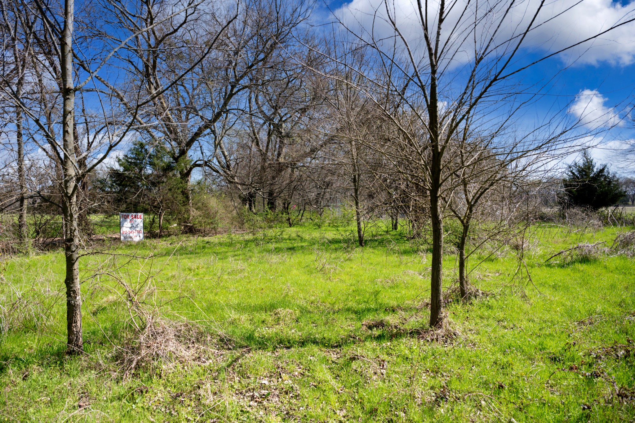 800 County Road 2390 Pickton TX 75471