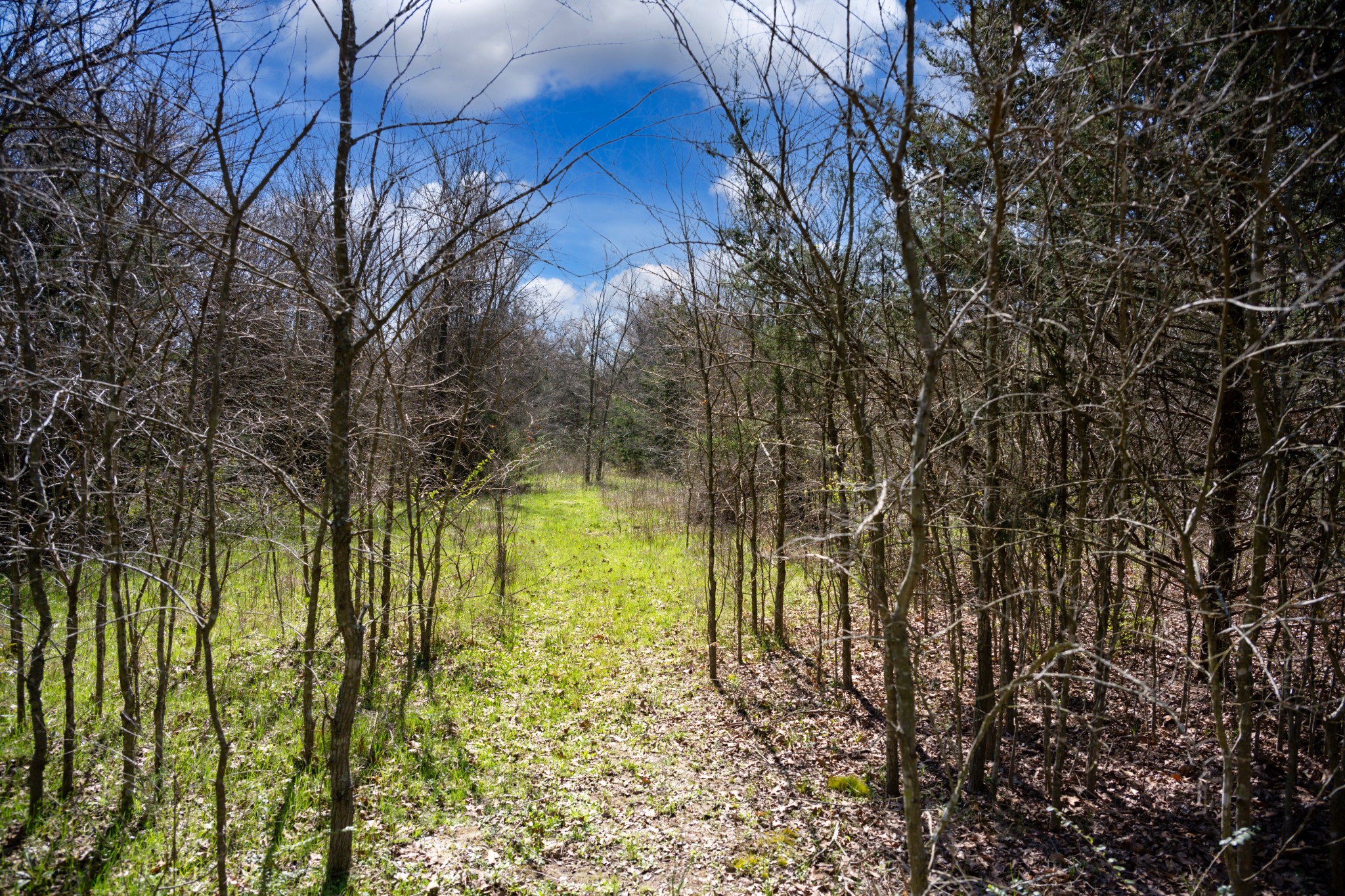 800 County Road 2390 Pickton TX 75471