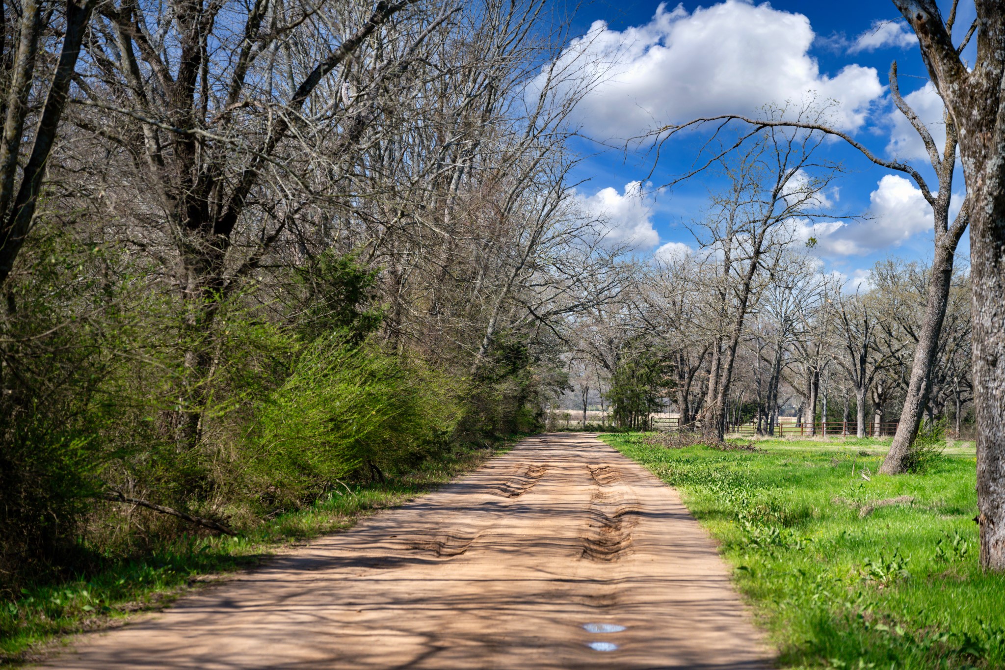 800 County Road 2390 Pickton TX 75471