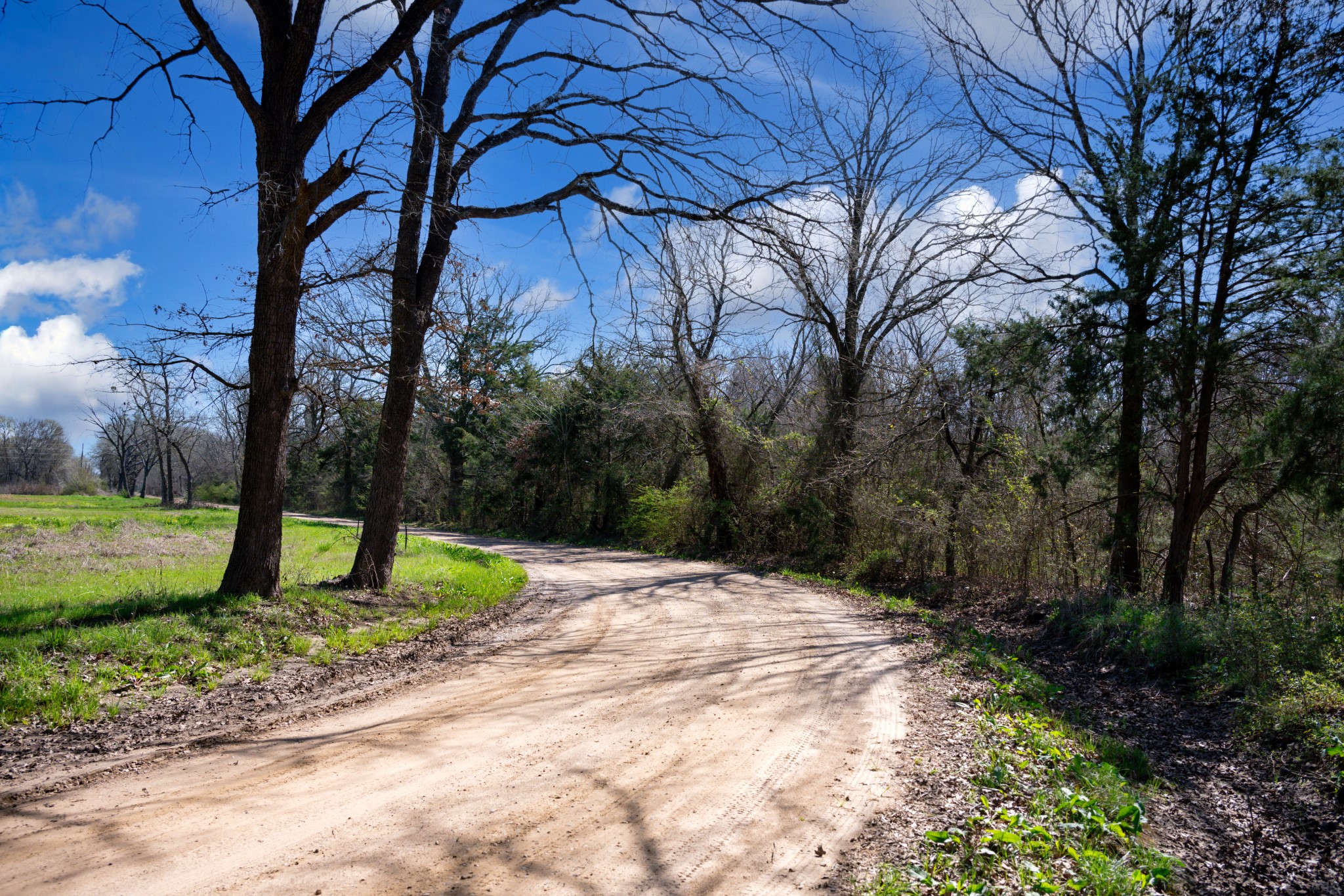800 County Road 2390 Pickton TX 75471