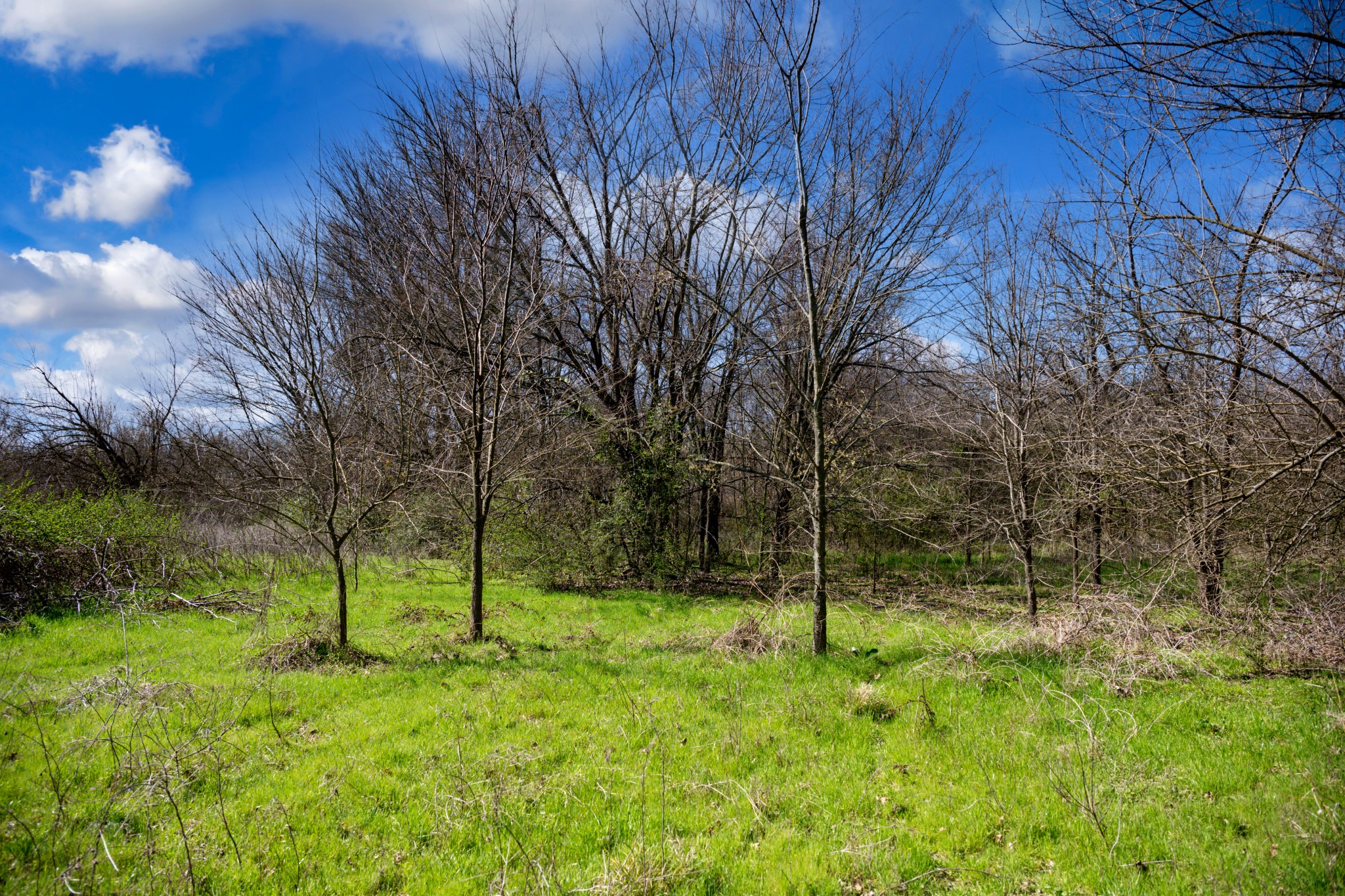 800 County Road 2390 Pickton TX 75471