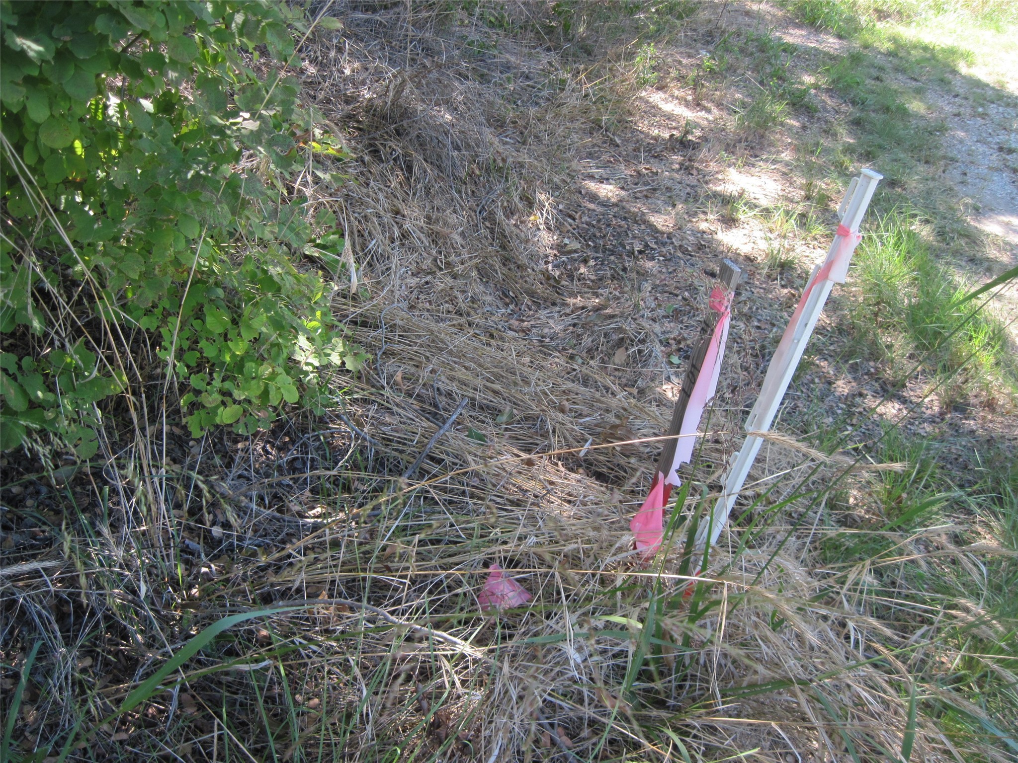 1119 Boot Trail Court Granbury TX 76048