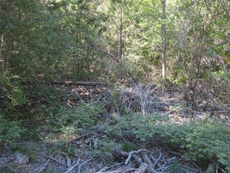 1119 Boot Trail Court Granbury TX 76048