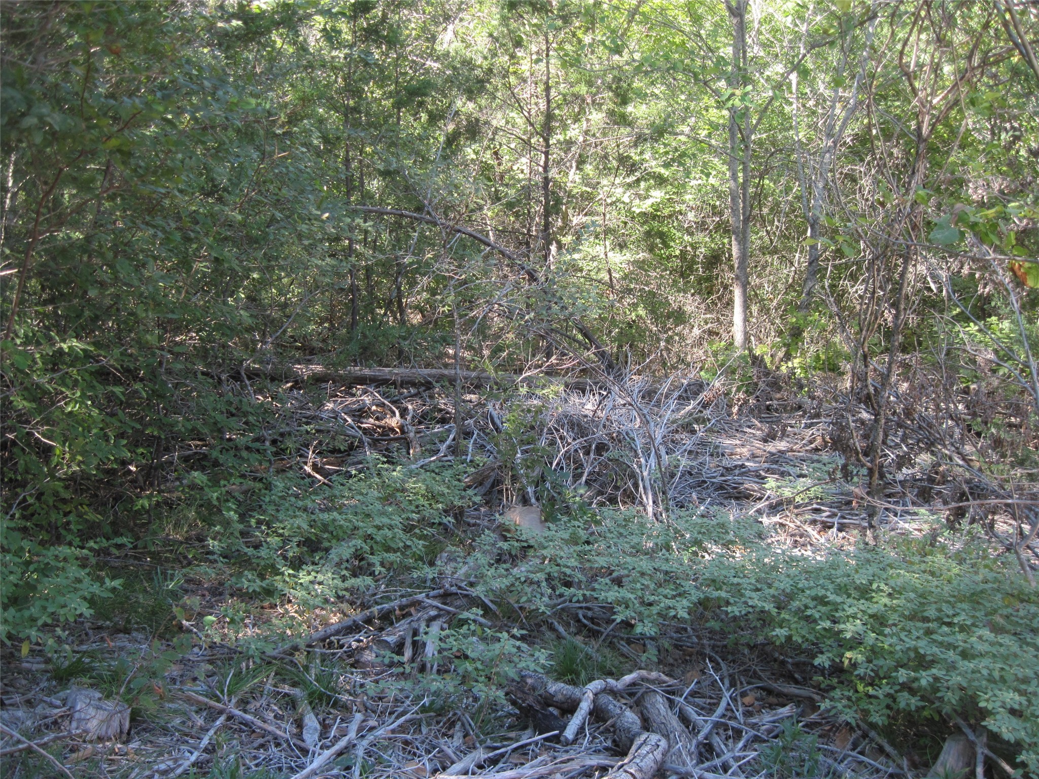1119 Boot Trail Court Granbury TX 76048