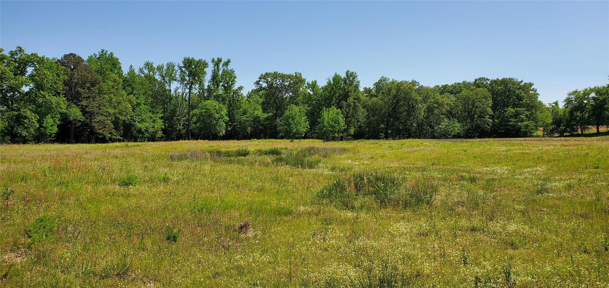 400 County Road 2775 Mineola TX 75773