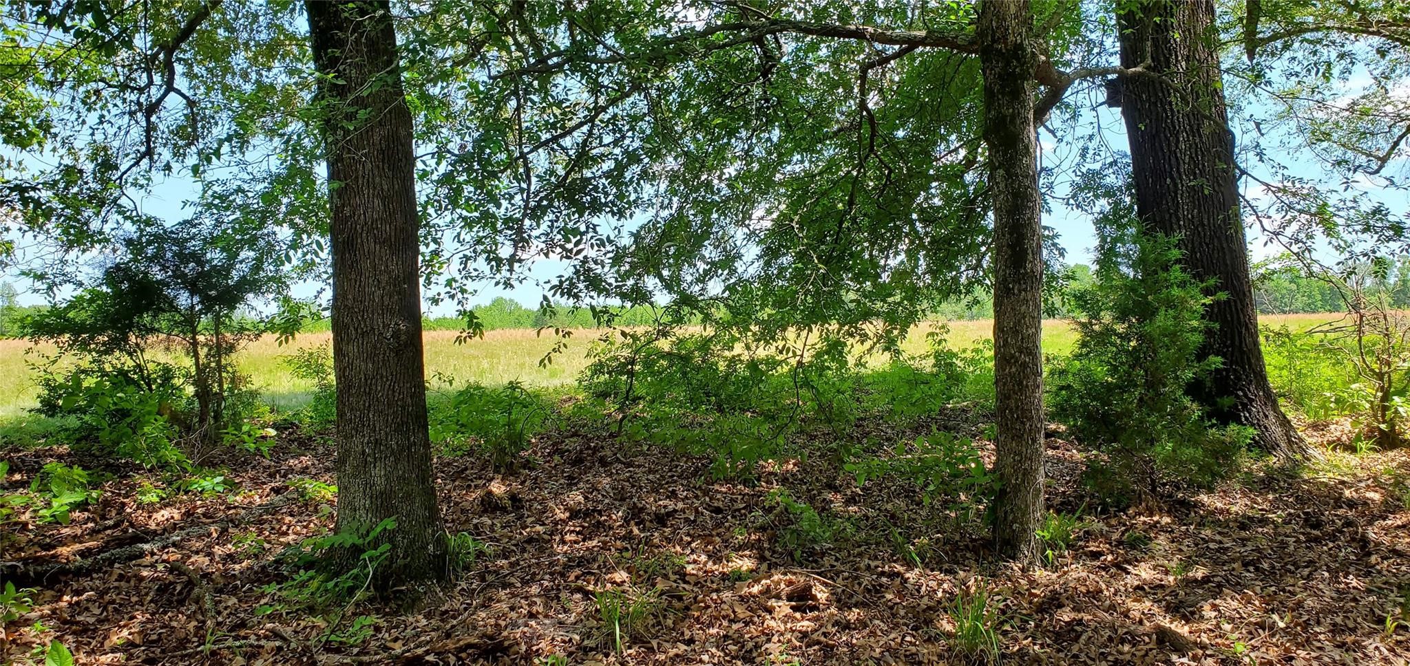 400 County Road 2775 Mineola TX 75773