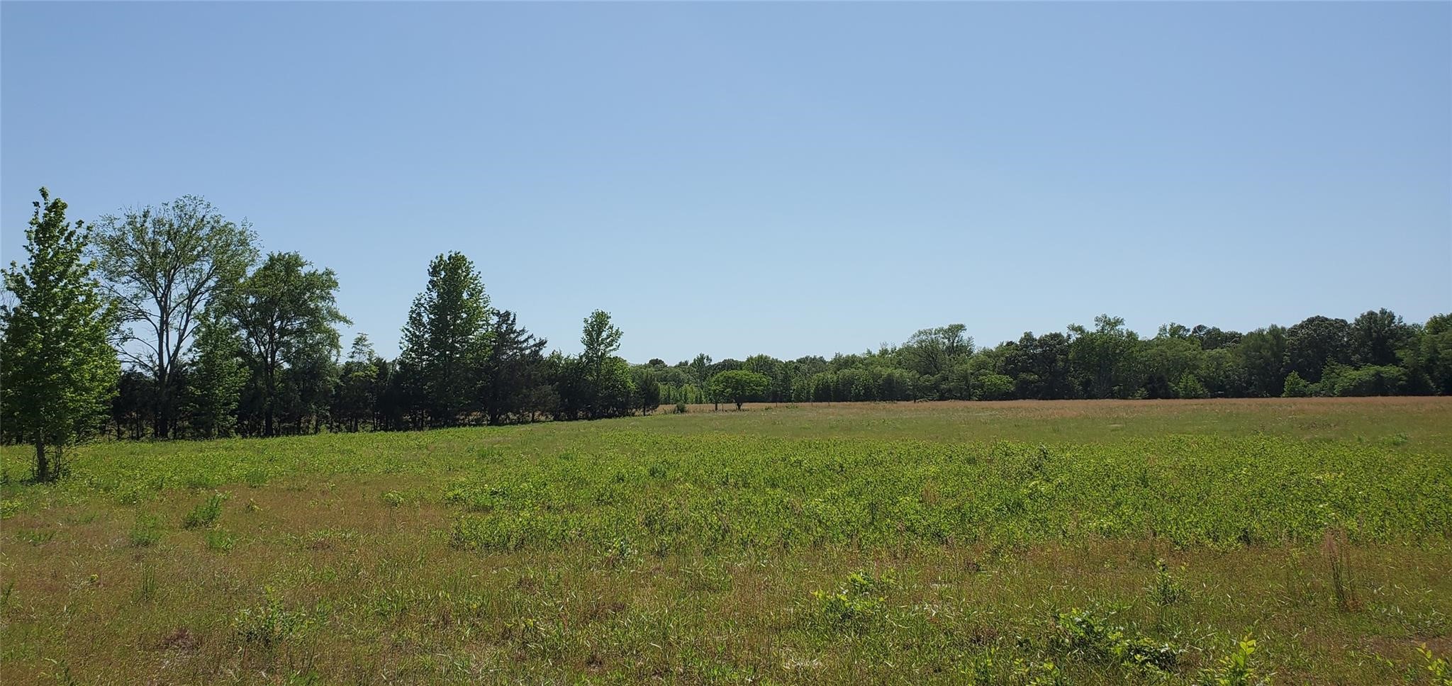 400 County Road 2775 Mineola TX 75773