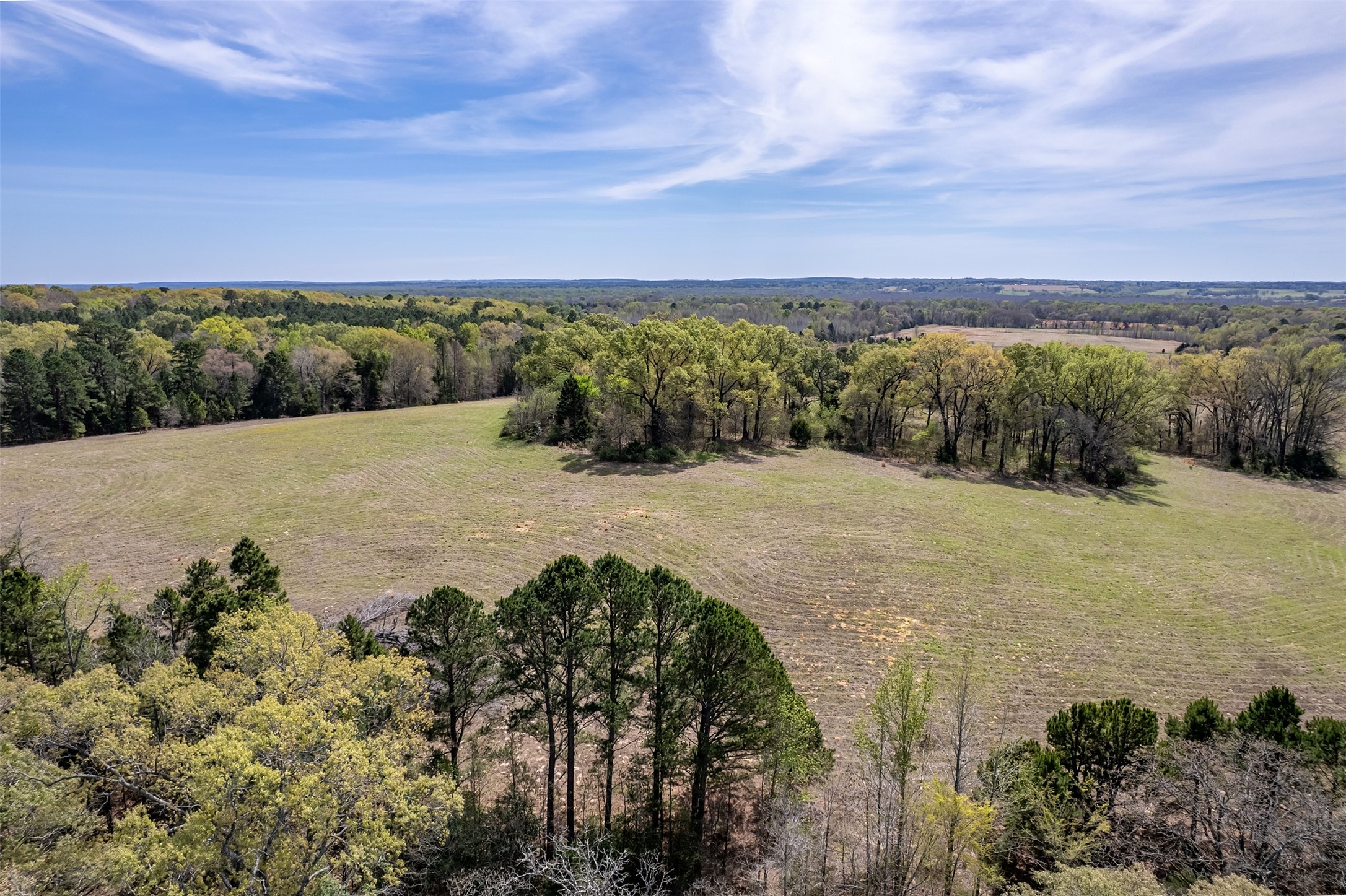 400 County Road 2775 Mineola TX 75773