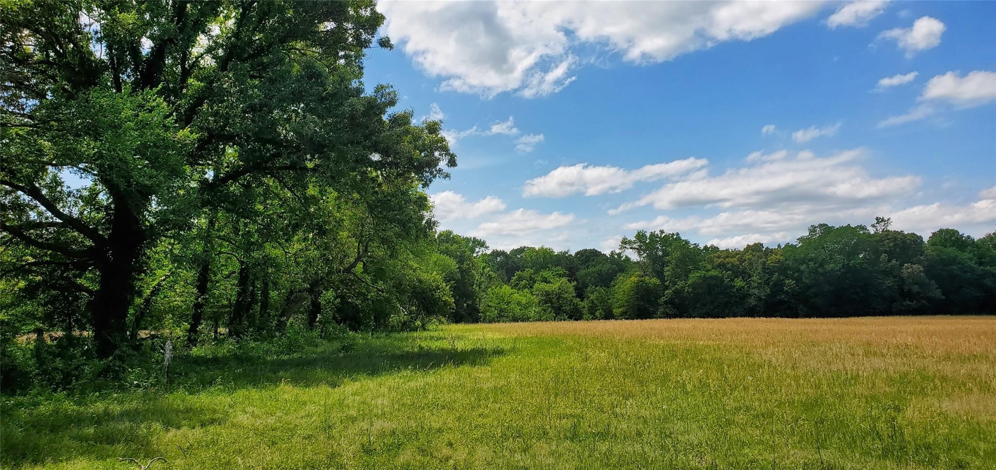 400 County Road 2775 Mineola TX 75773