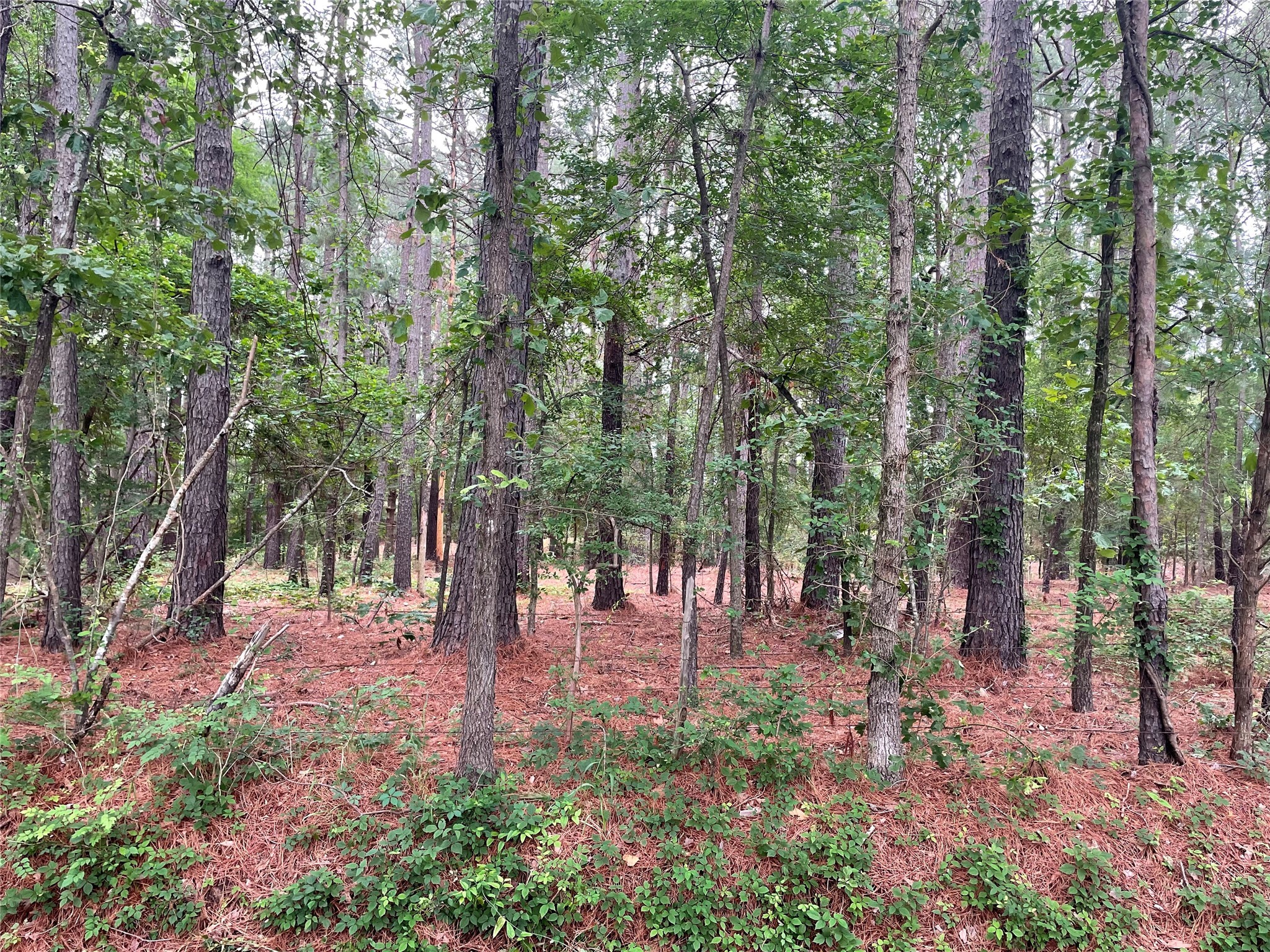 20348 County Road 4106 Lindale TX 75771