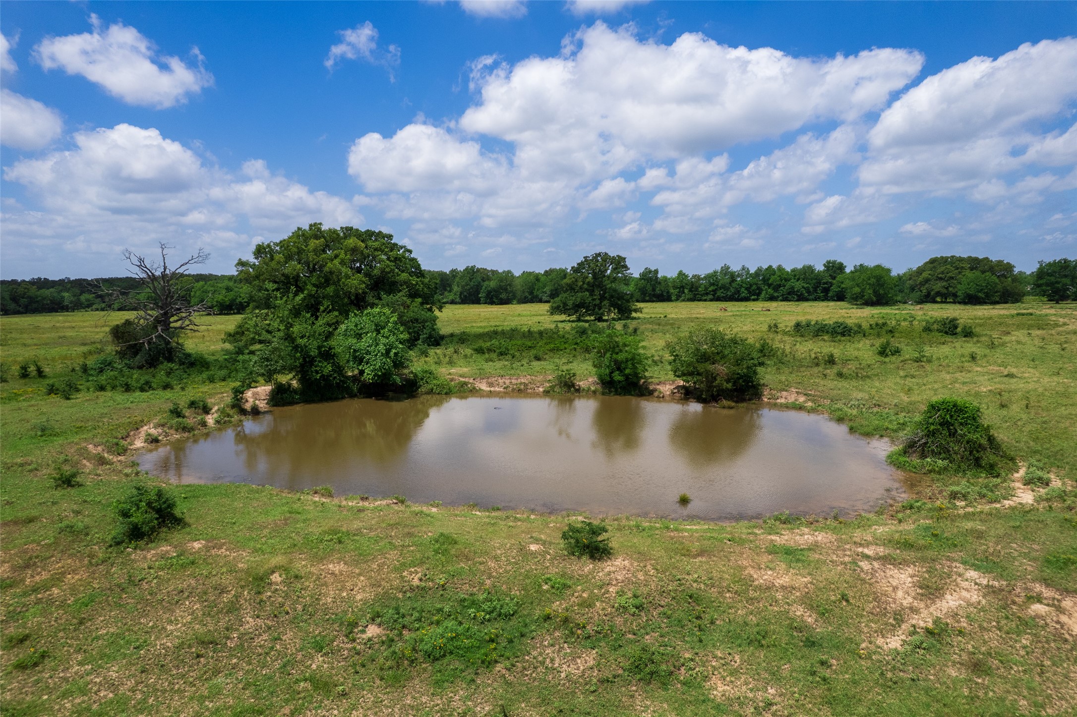 Tbd W Farm Road 71 Talco TX 75487