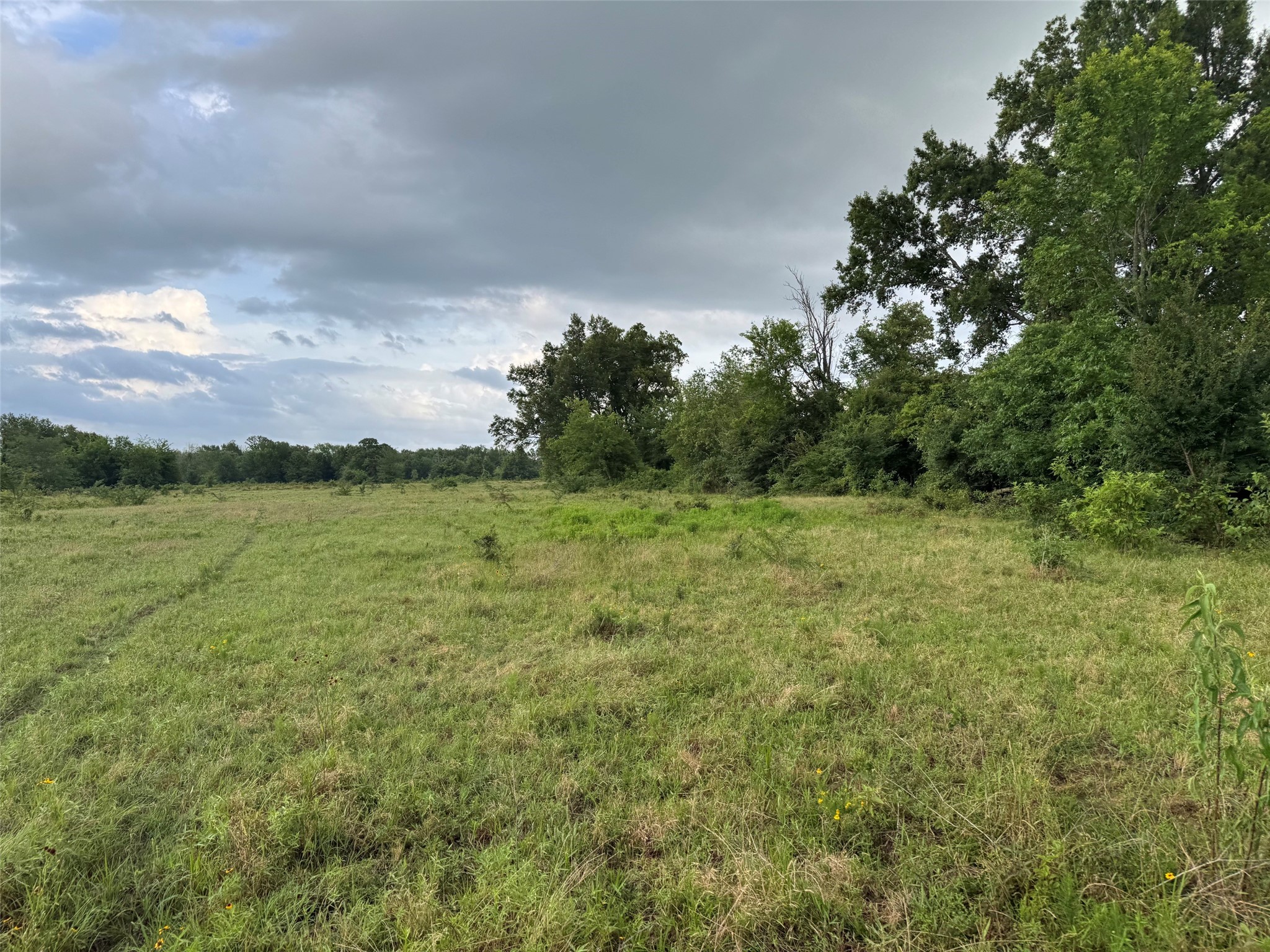 Tbd W Farm Road 71 Talco TX 75487