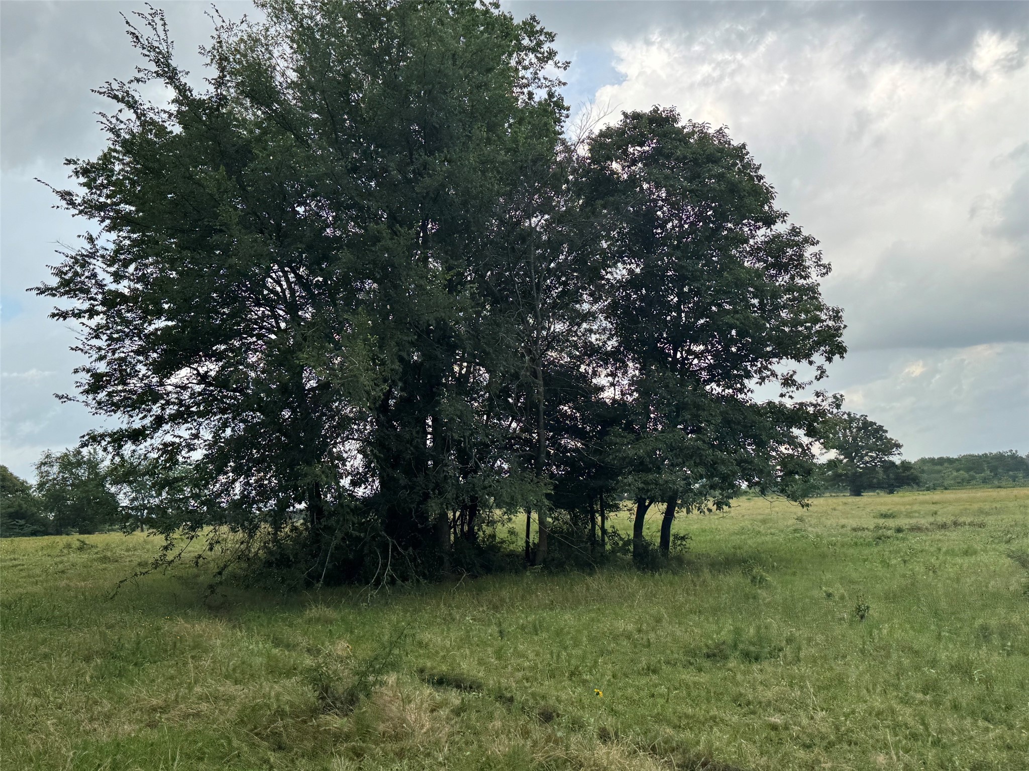 Tbd W Farm Road 71 Talco TX 75487