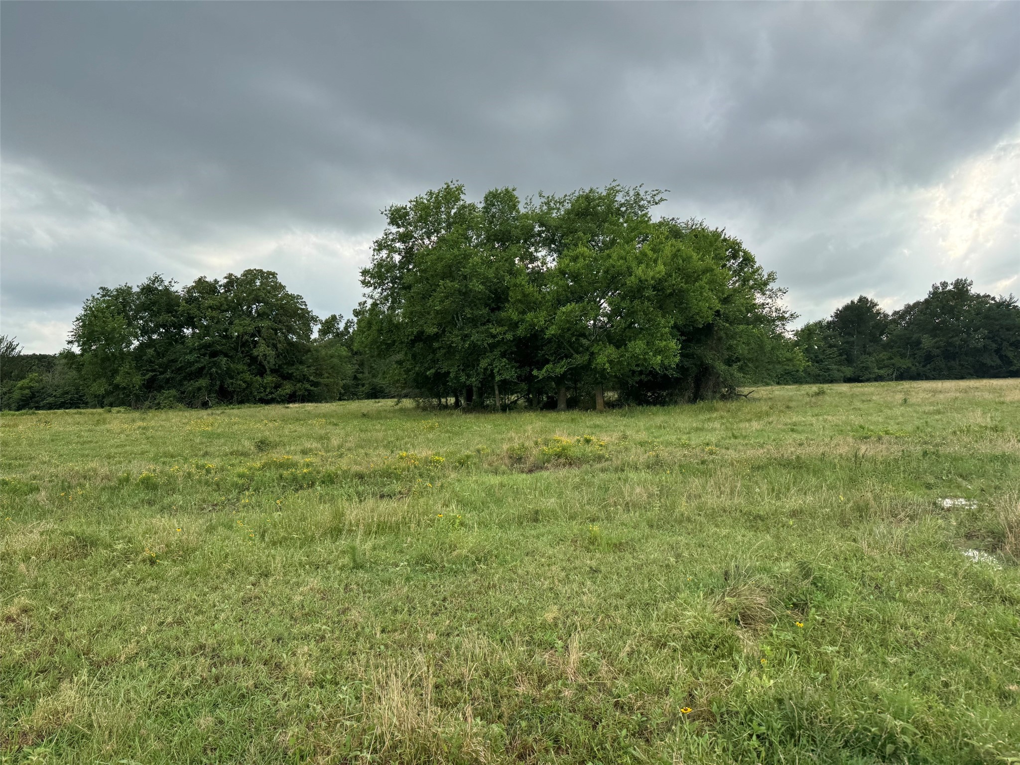 Tbd W Farm Road 71 Talco TX 75487