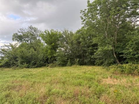 Tbd W Farm Road 71 Talco TX 75487