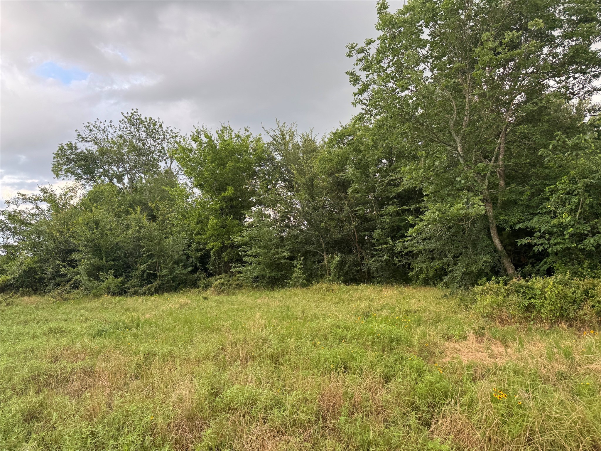Tbd W Farm Road 71 Talco TX 75487