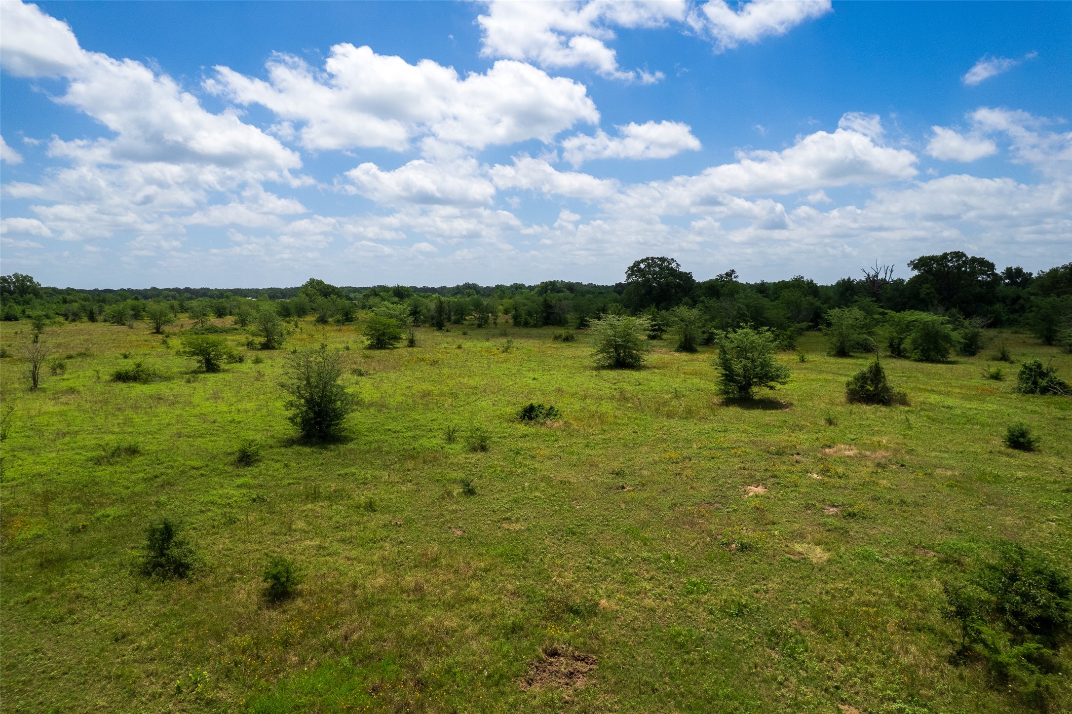 Tbd W Farm Road 71 Talco TX 75487