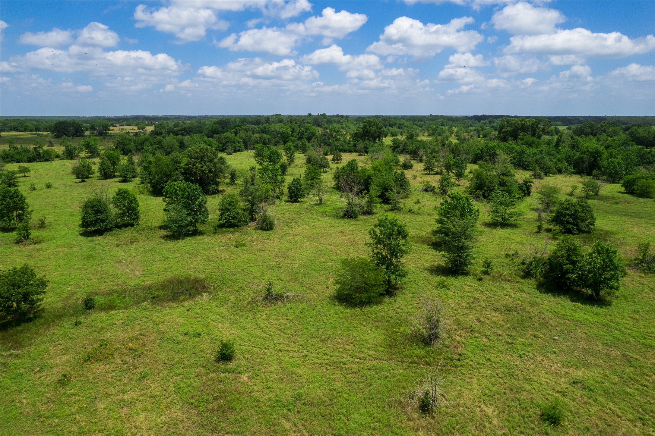 Tbd W Farm Road 71 Talco TX 75487