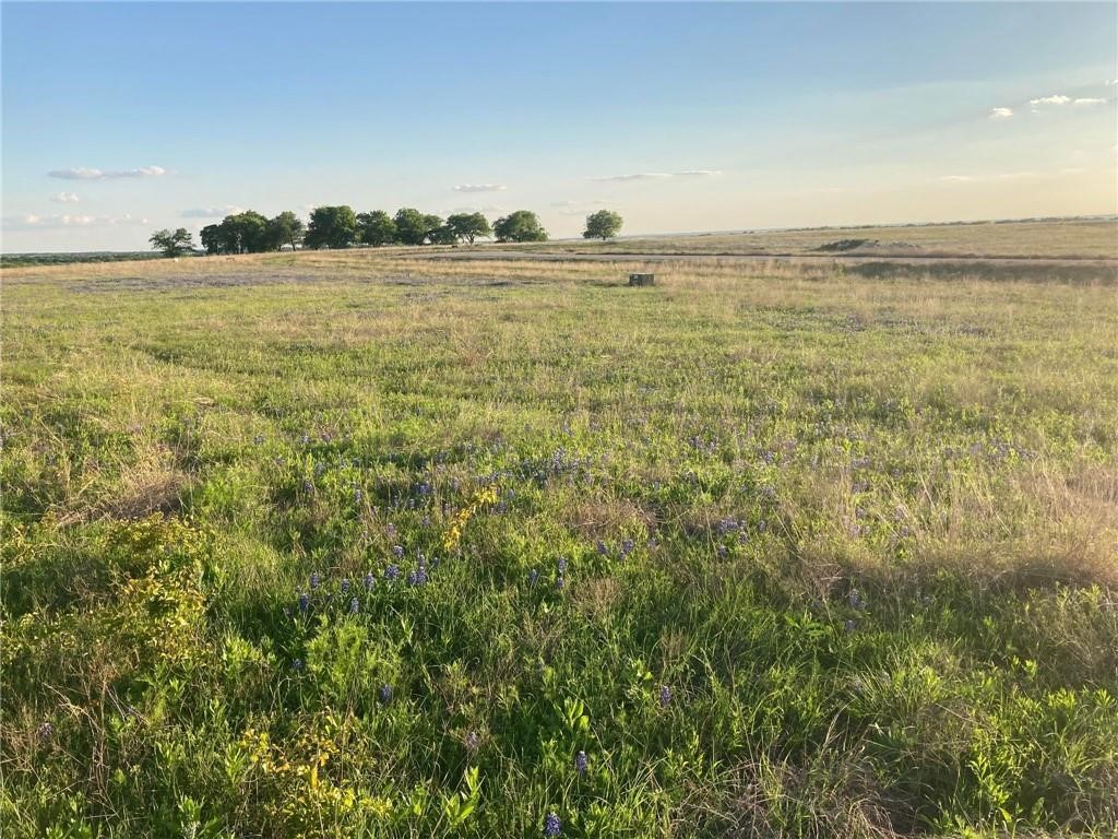 83 Crest View Trail Hillsboro TX 76645