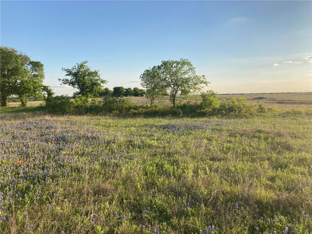 83 Crest View Trail Hillsboro TX 76645