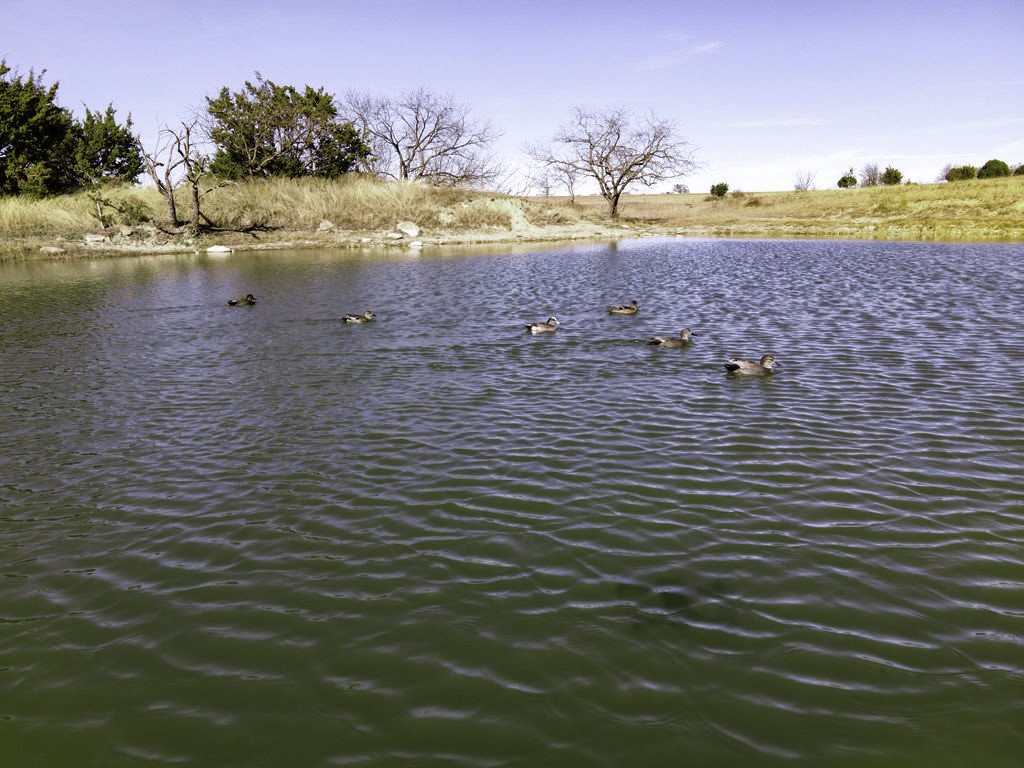 854 County Road 131 Gatesville TX 76528