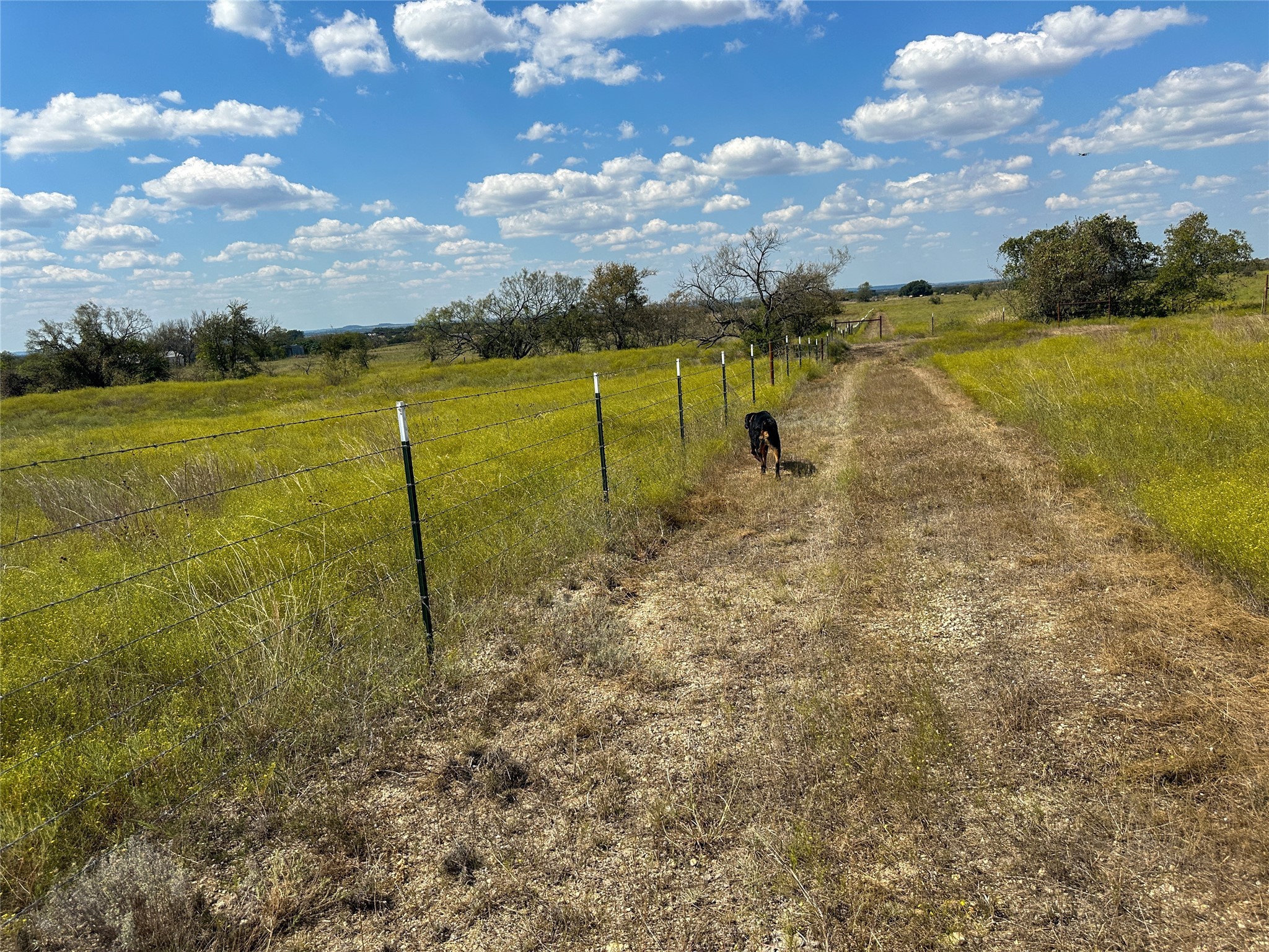 854 County Road 131 Gatesville TX 76528