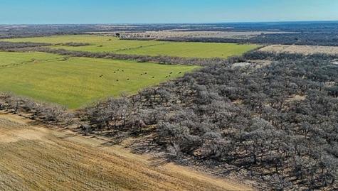 454 County Road 196 Gorman TX 76454