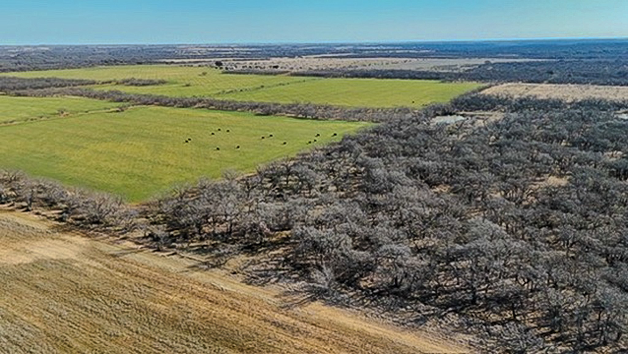 454 County Road 196 Gorman TX 76454