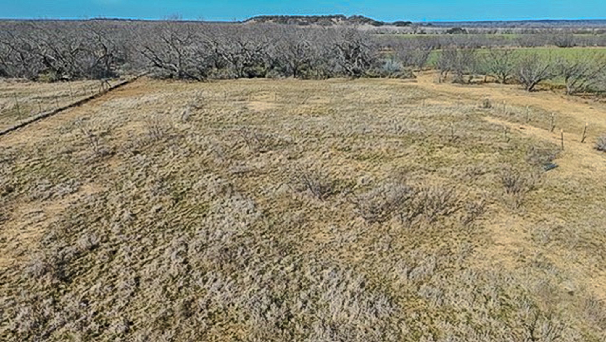 454 County Road 196 Gorman TX 76454