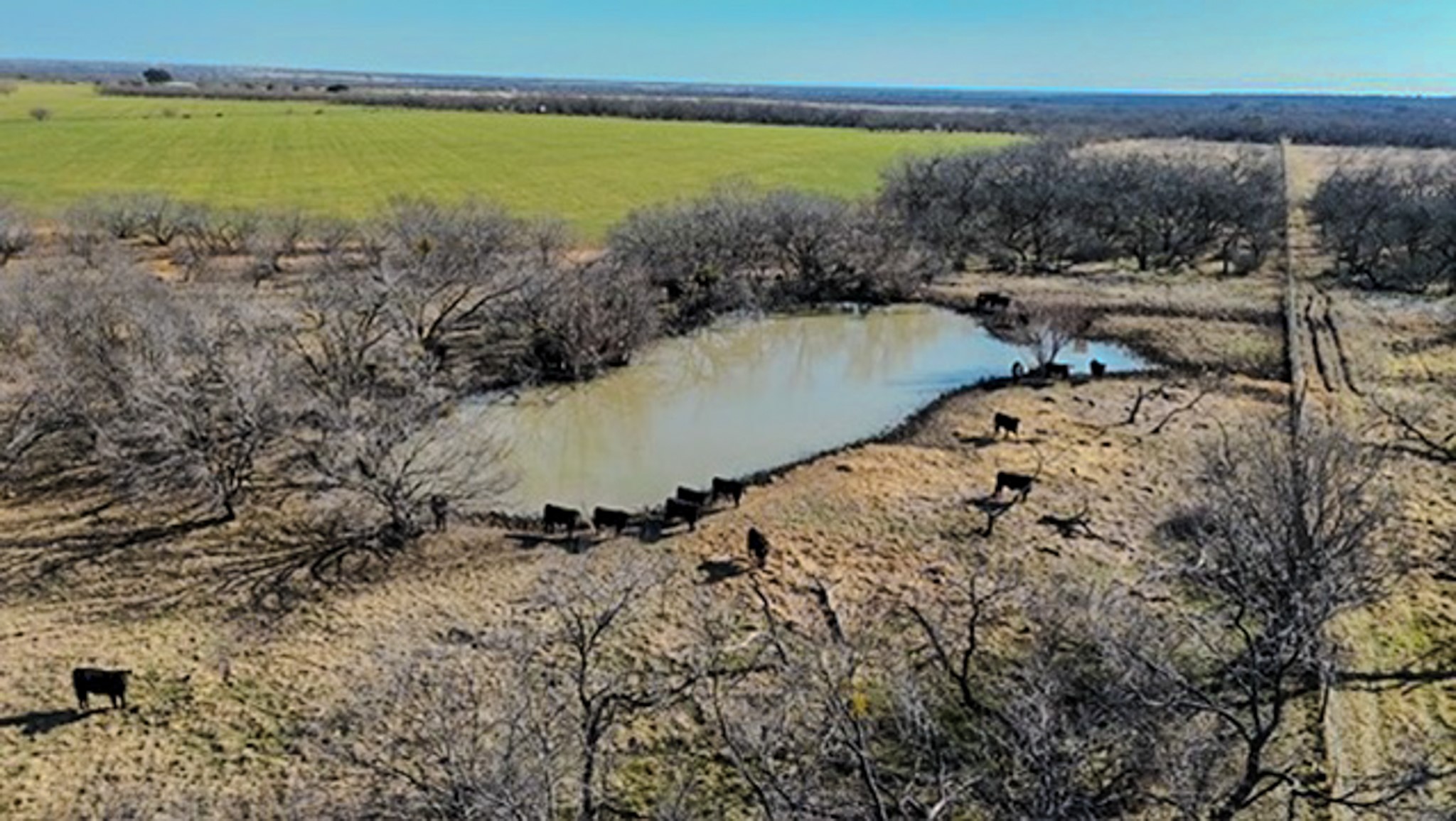 454 County Road 196 Gorman TX 76454
