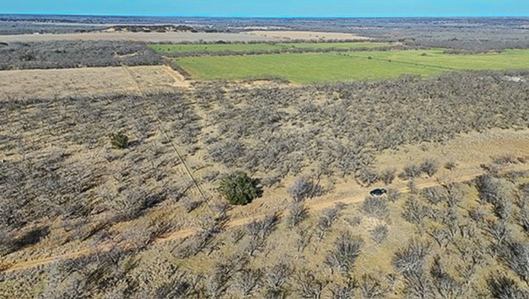 454 County Road 196 Gorman TX 76454