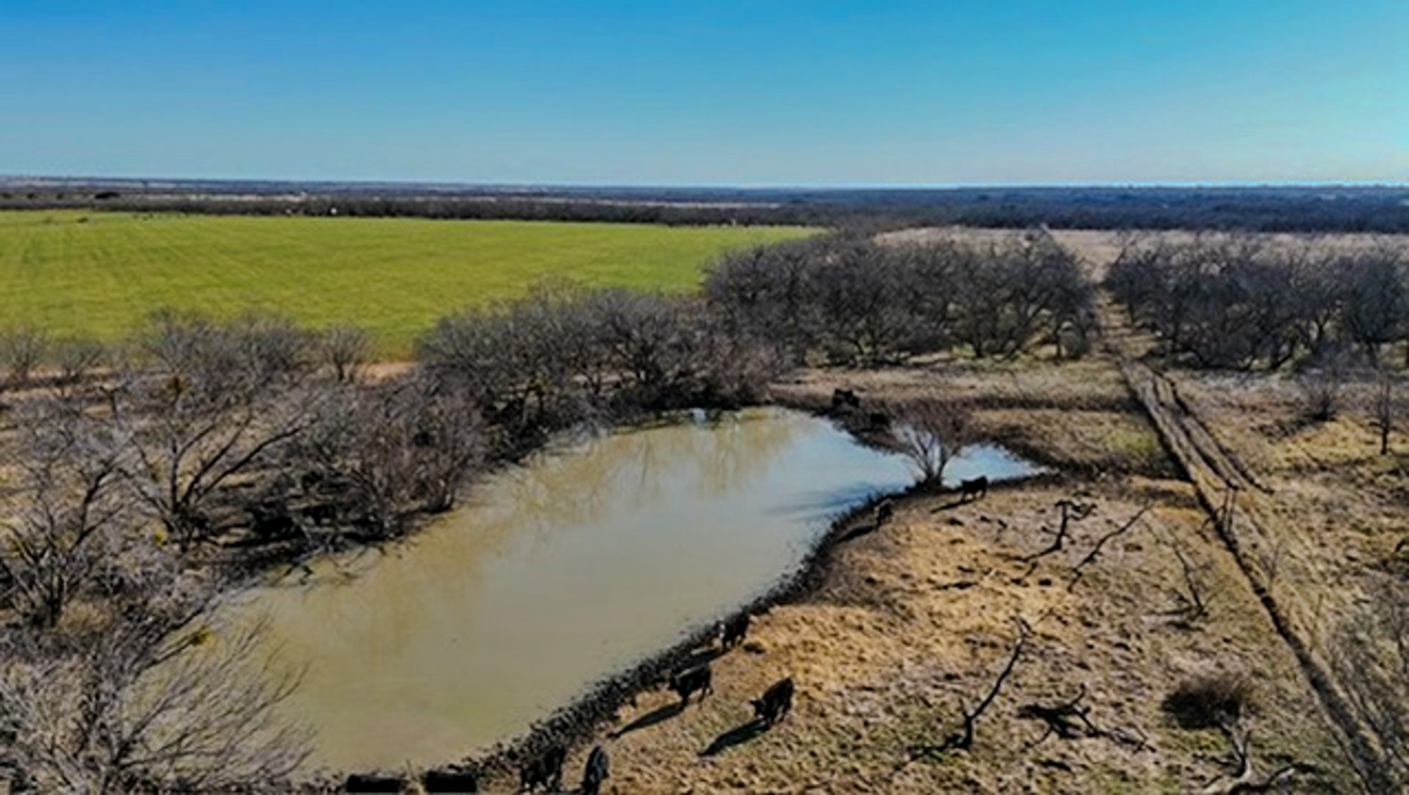 454 County Road 196 Gorman TX 76454