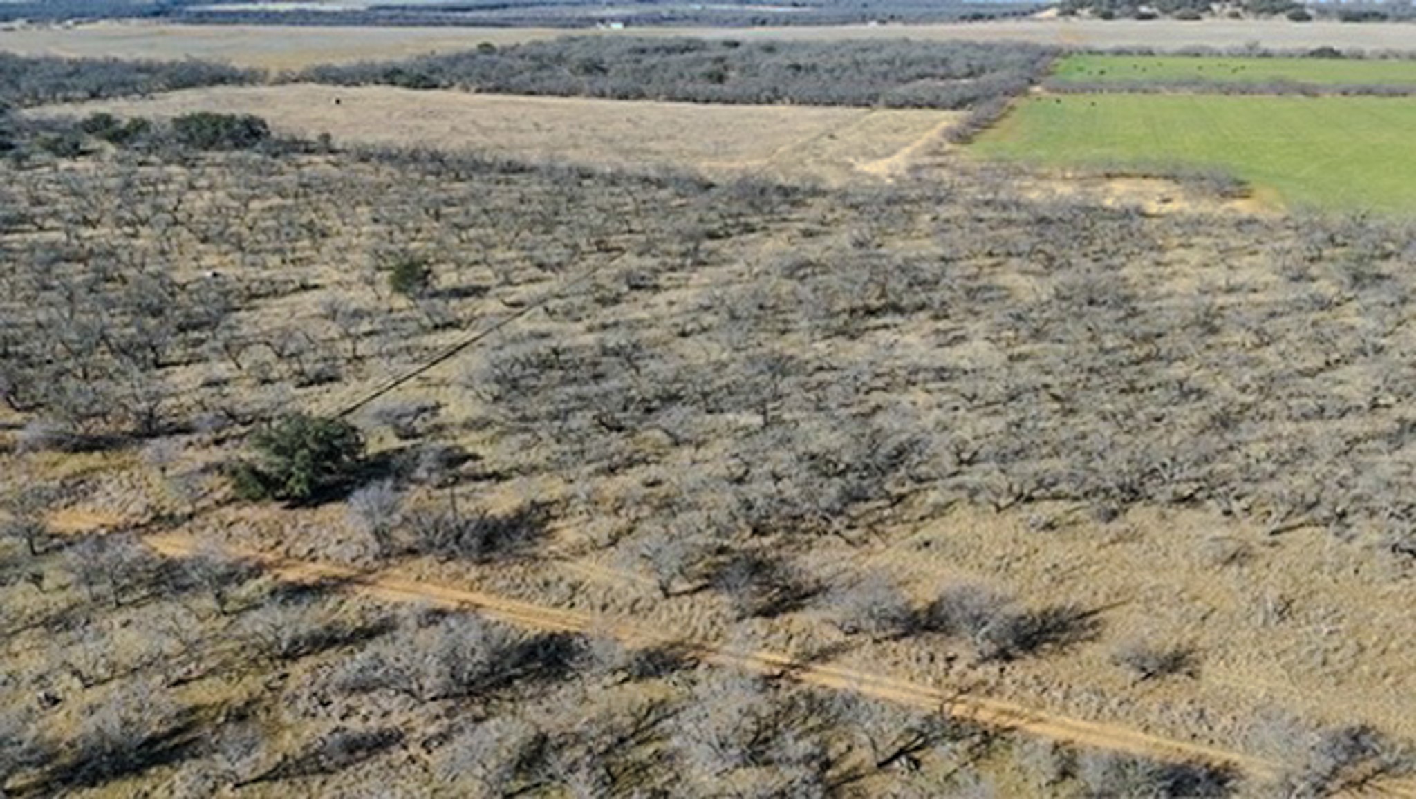 454 County Road 196 Gorman TX 76454