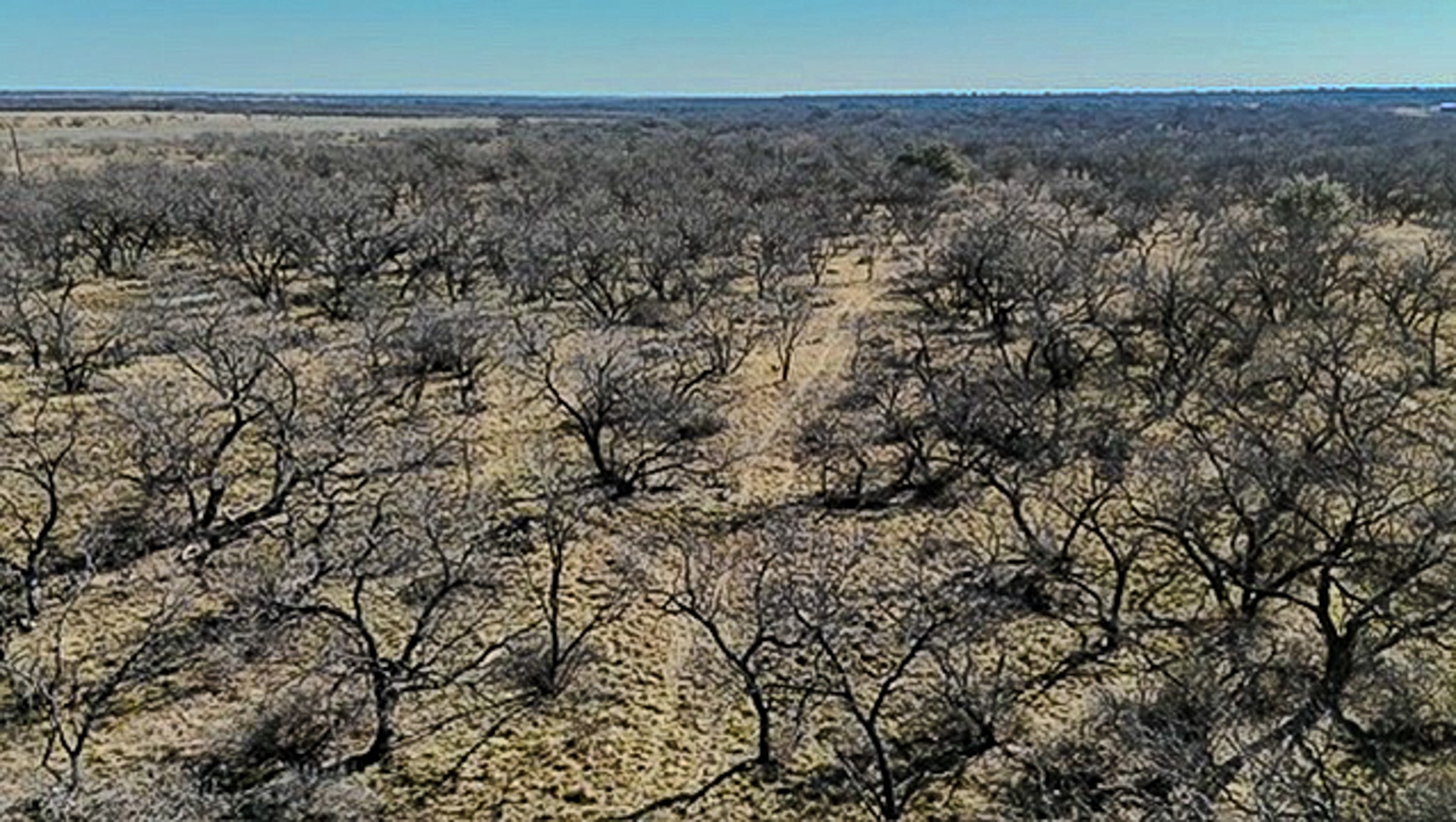 454 County Road 196 Gorman TX 76454