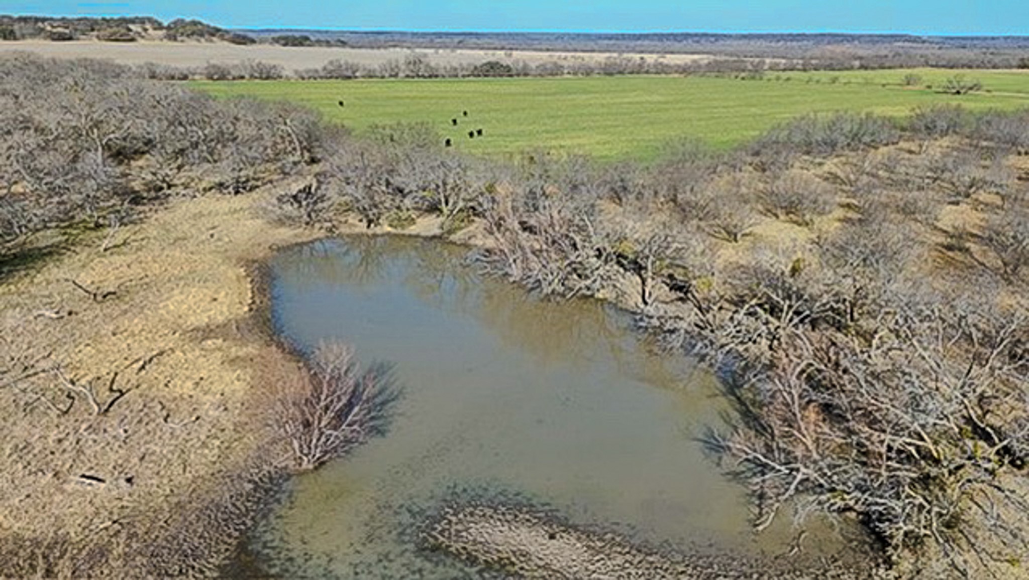 454 County Road 196 Gorman TX 76454