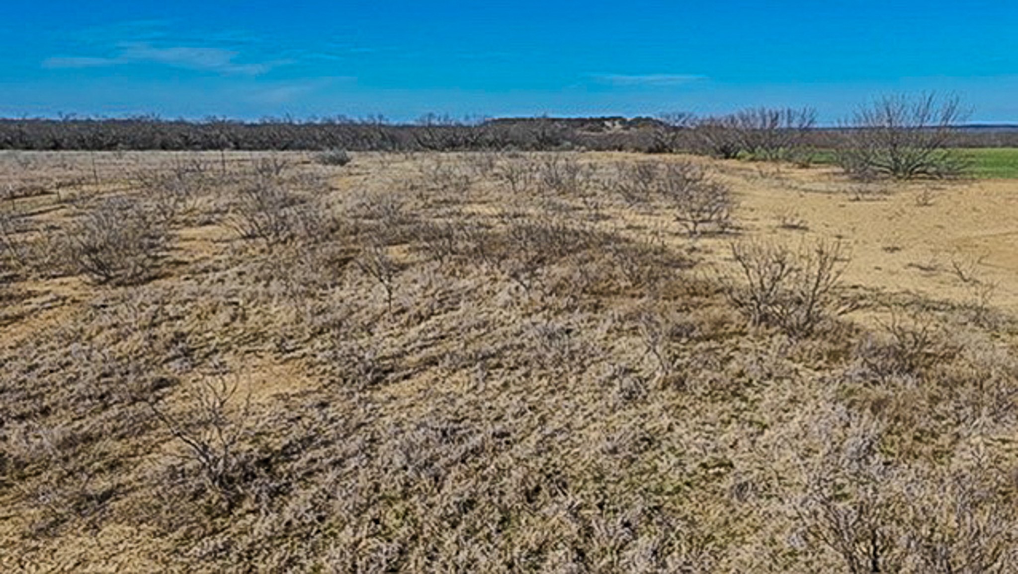 454 County Road 196 Gorman TX 76454