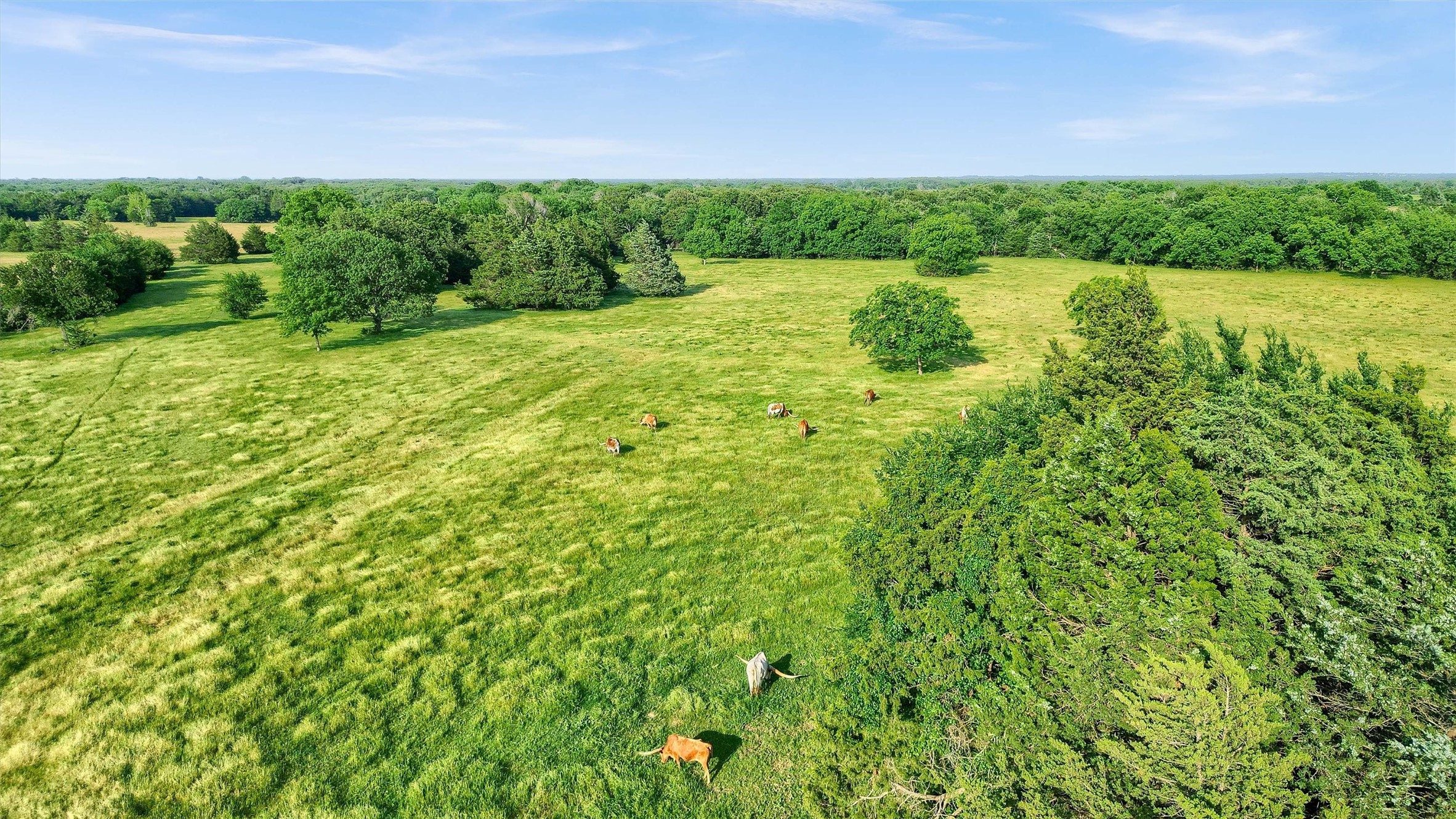 Tbd Fm 2645 Savoy TX 75479