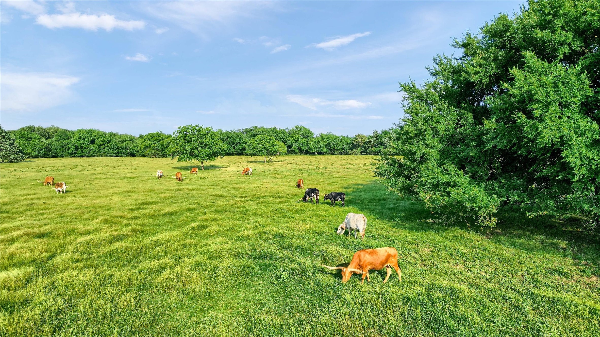 Tbd Fm 2645 Savoy TX 75479