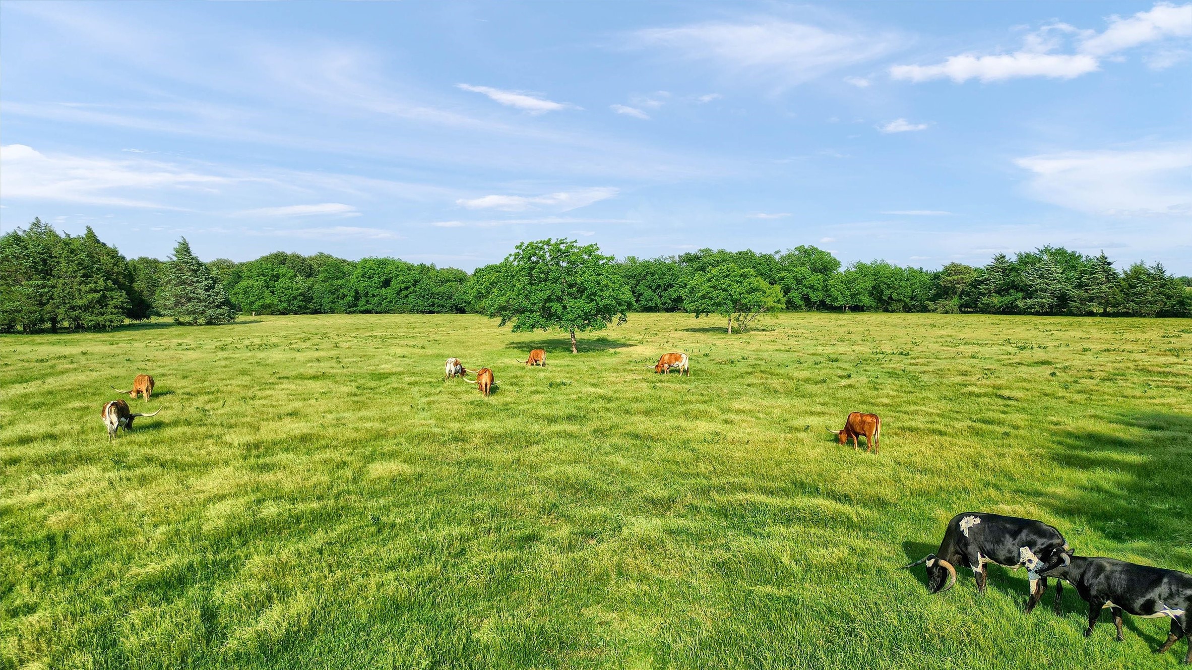 Tbd Fm 2645 Savoy TX 75479