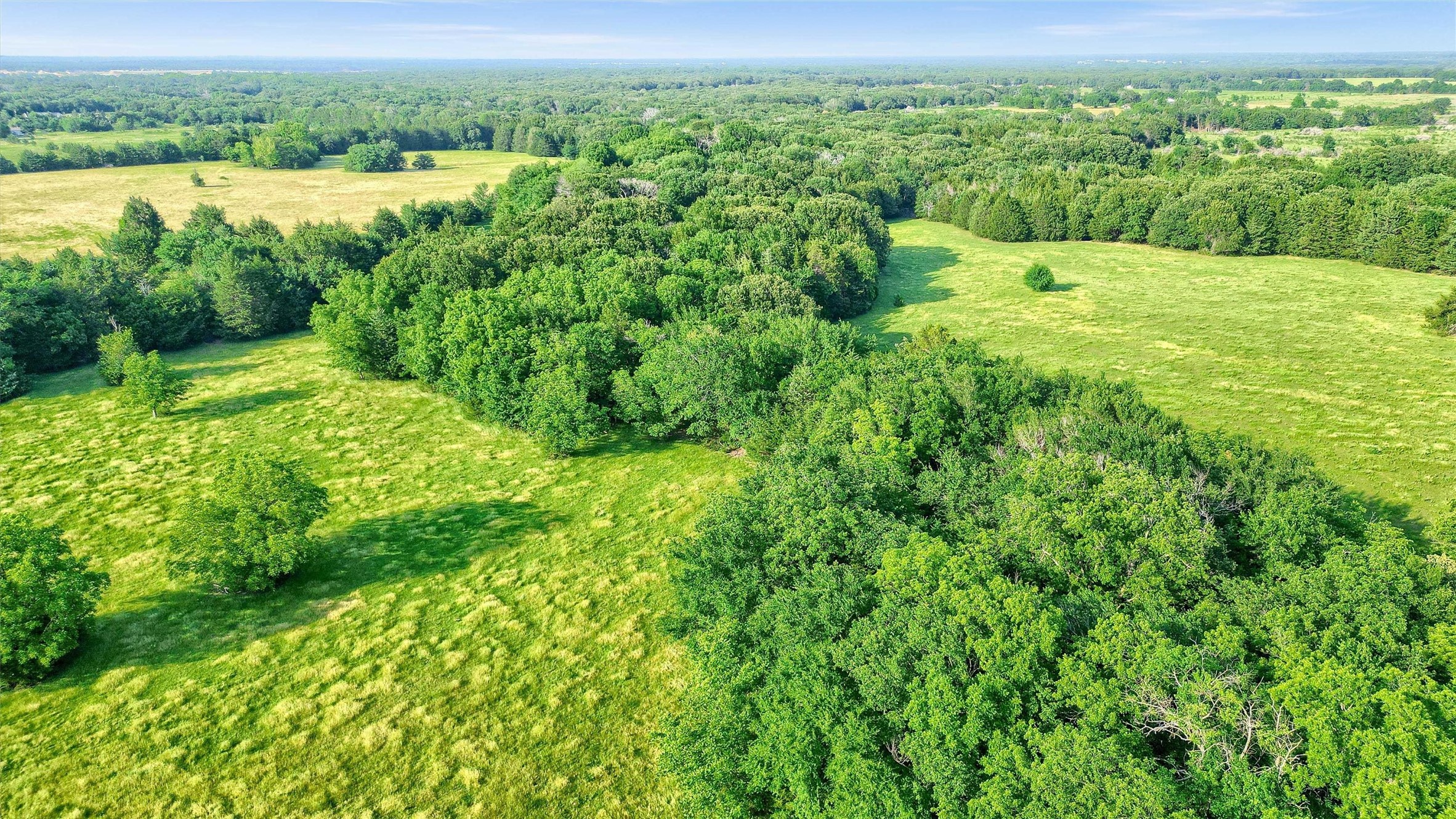 Tbd Fm 2645 Savoy TX 75479