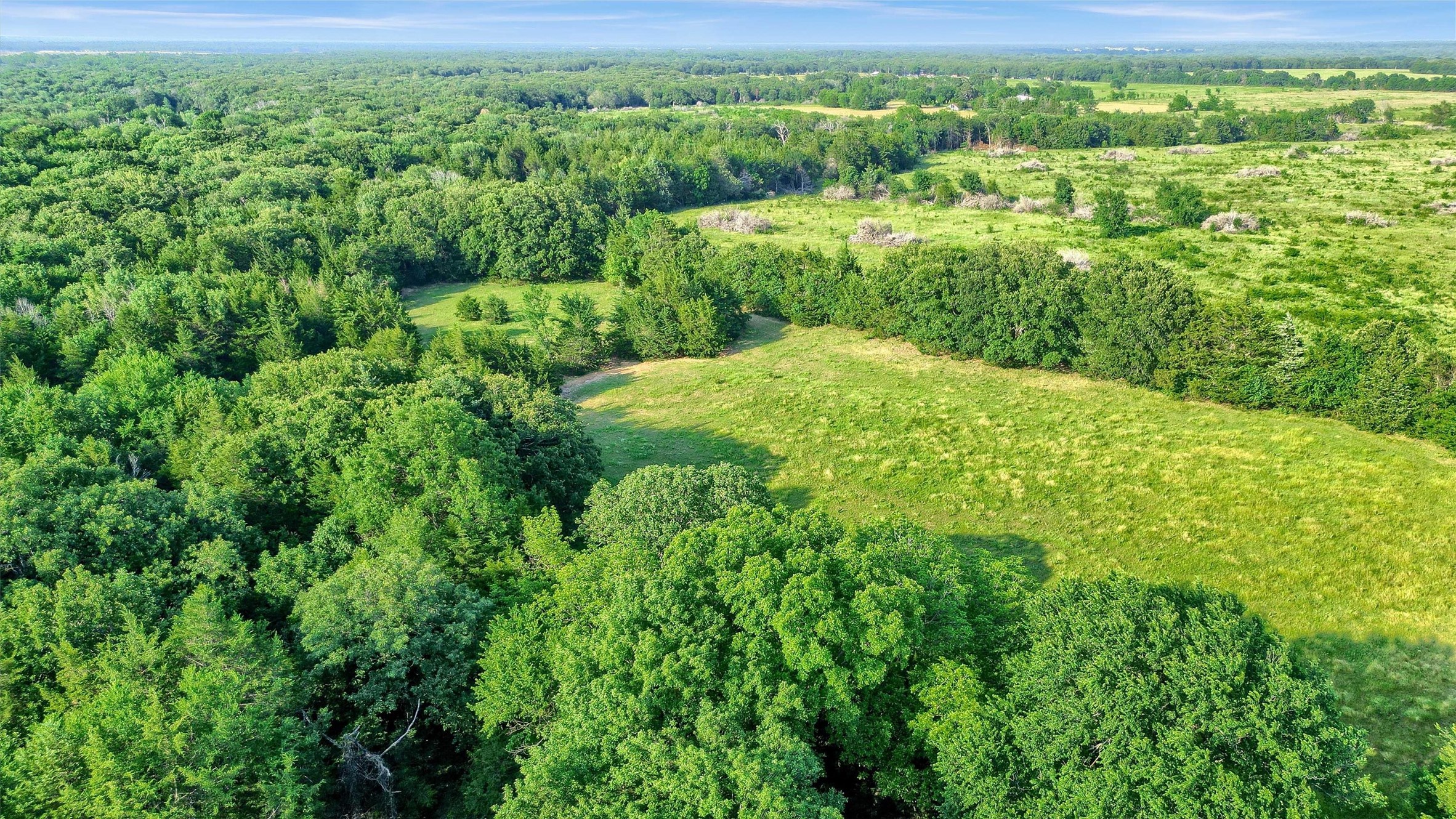 Tbd Fm 2645 Savoy TX 75479