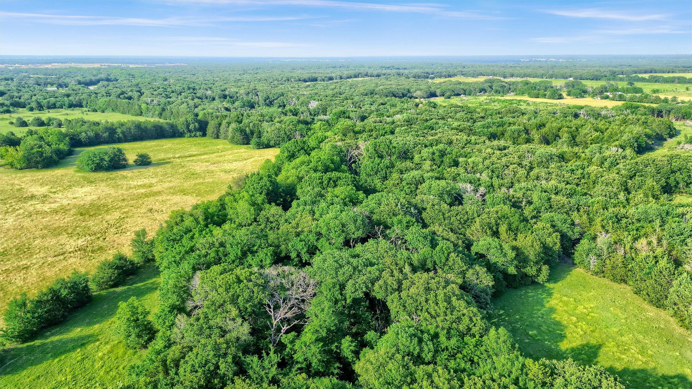 Tbd Fm 2645 Savoy TX 75479