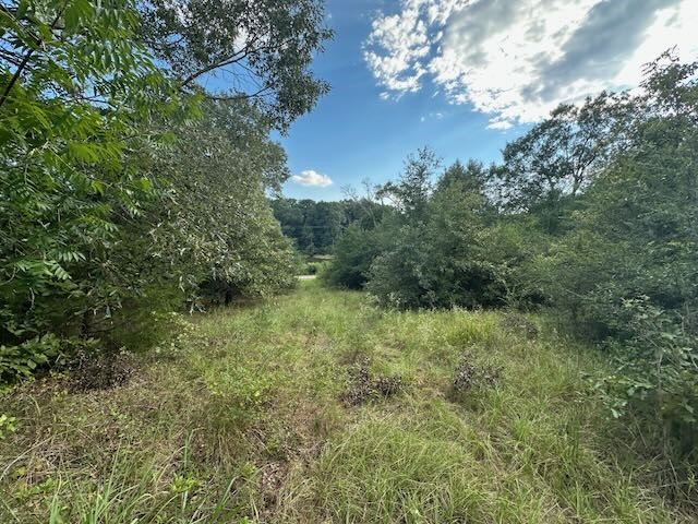 Tbd Vz Cr 1823 Grand Saline TX 75140