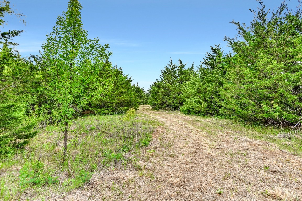 Tbd Airport Road Tioga TX 76271