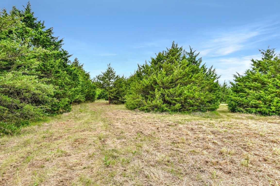 Tbd Airport Road Tioga TX 76271