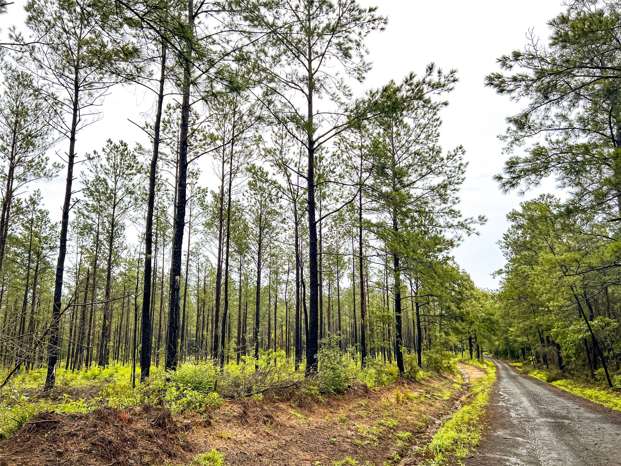 3 Cr 257 Jasper TX 75951