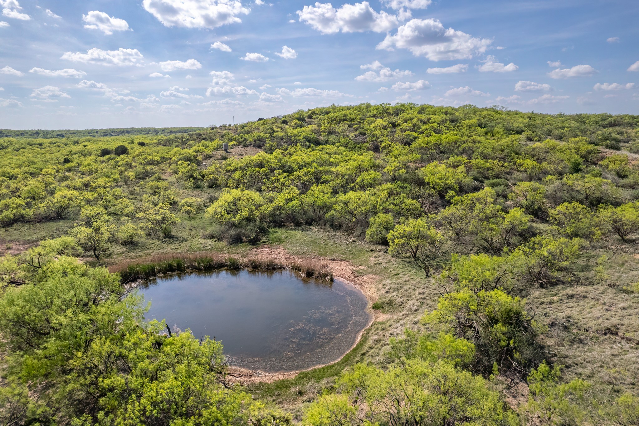 Tbd Highway 84 Santa Anna TX 76878
